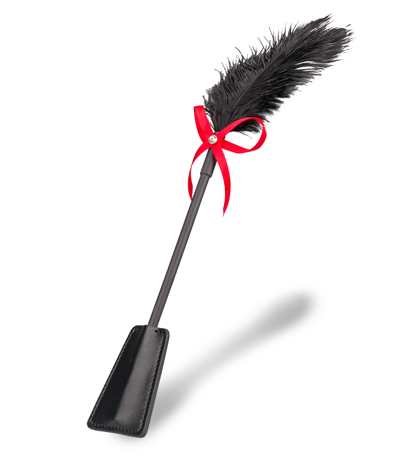2-in-1 BDSM riding crop and feather tickler