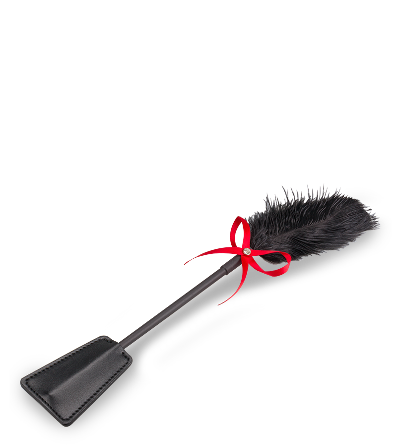 2-in-1 BDSM riding crop and feather tickler