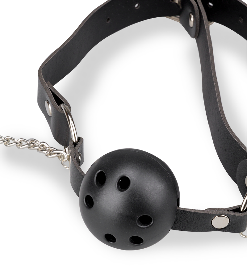 BDSM ball gag with nipple clamps
