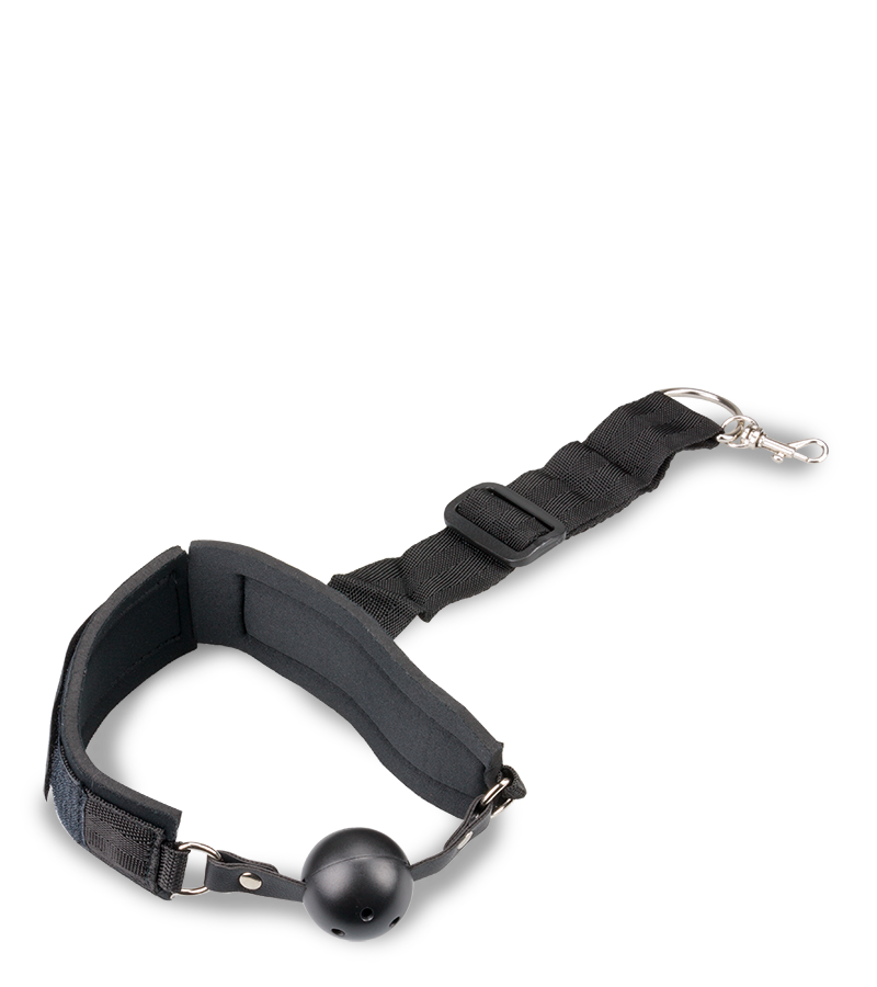BDSM kit with ball gag and handcuffs