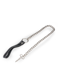 Load image into Gallery viewer, BDSM metal leash 30.75 inches