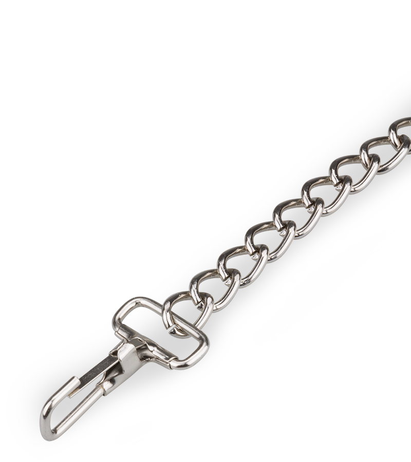 BDSM metal leash 30.75 inches