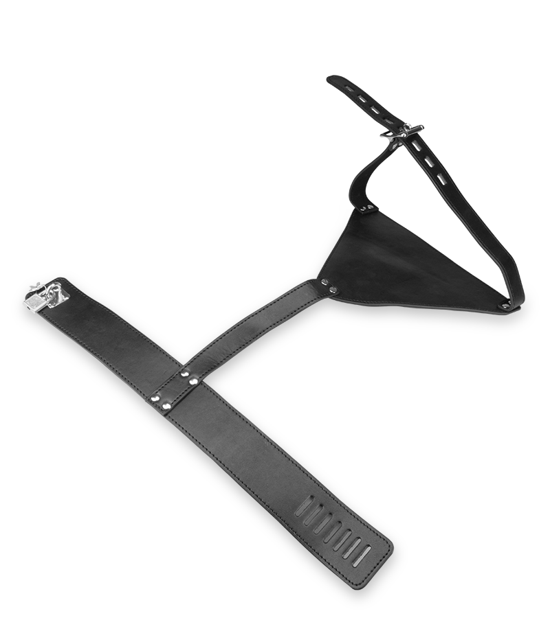 Collar and arm restraint harness