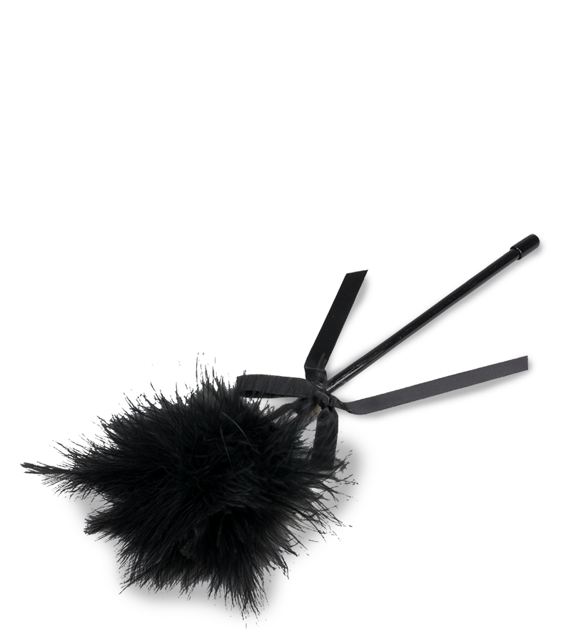 Feather duster 11.50 inches