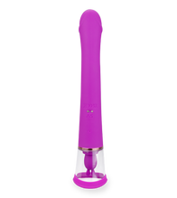 Load image into Gallery viewer, Fine rabbit vibrator with pussy pump