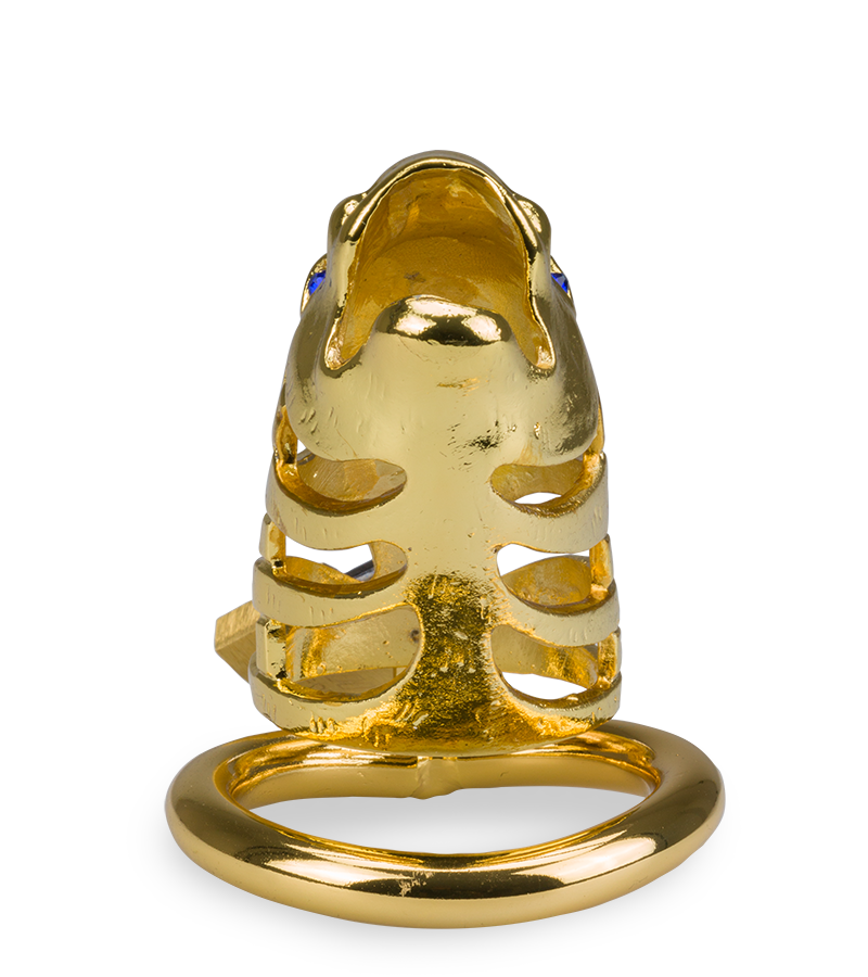 Golden Dragon Chinese zodiac penis chastity cage