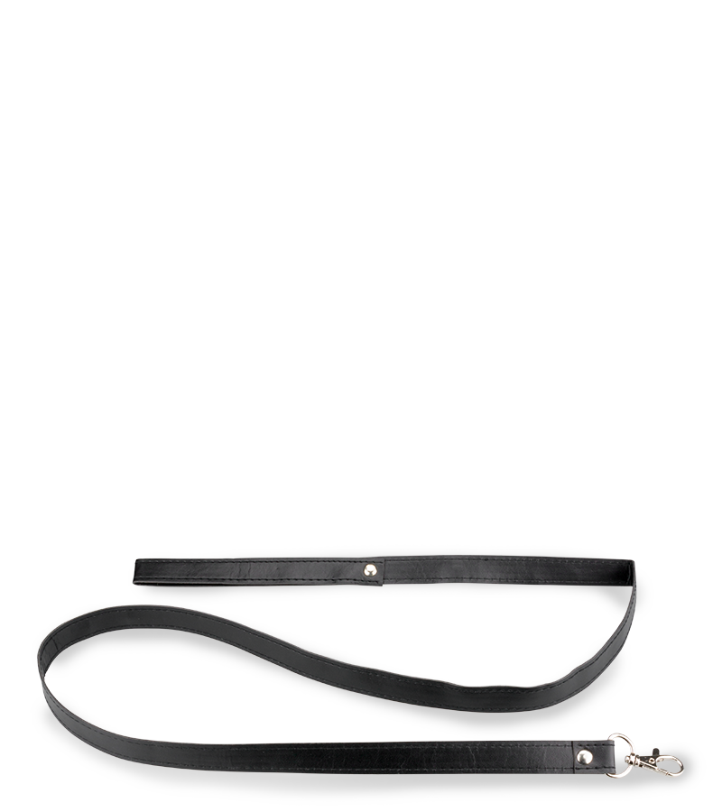 Leather BDSM collar and lead