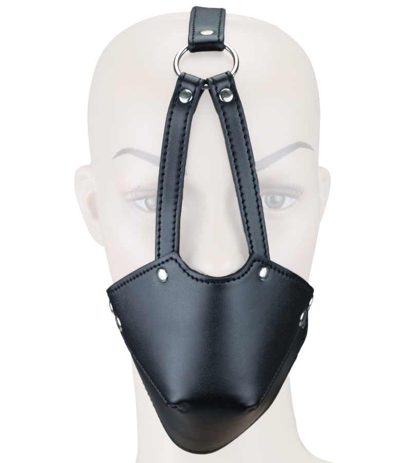 Leather face harness with ball gag