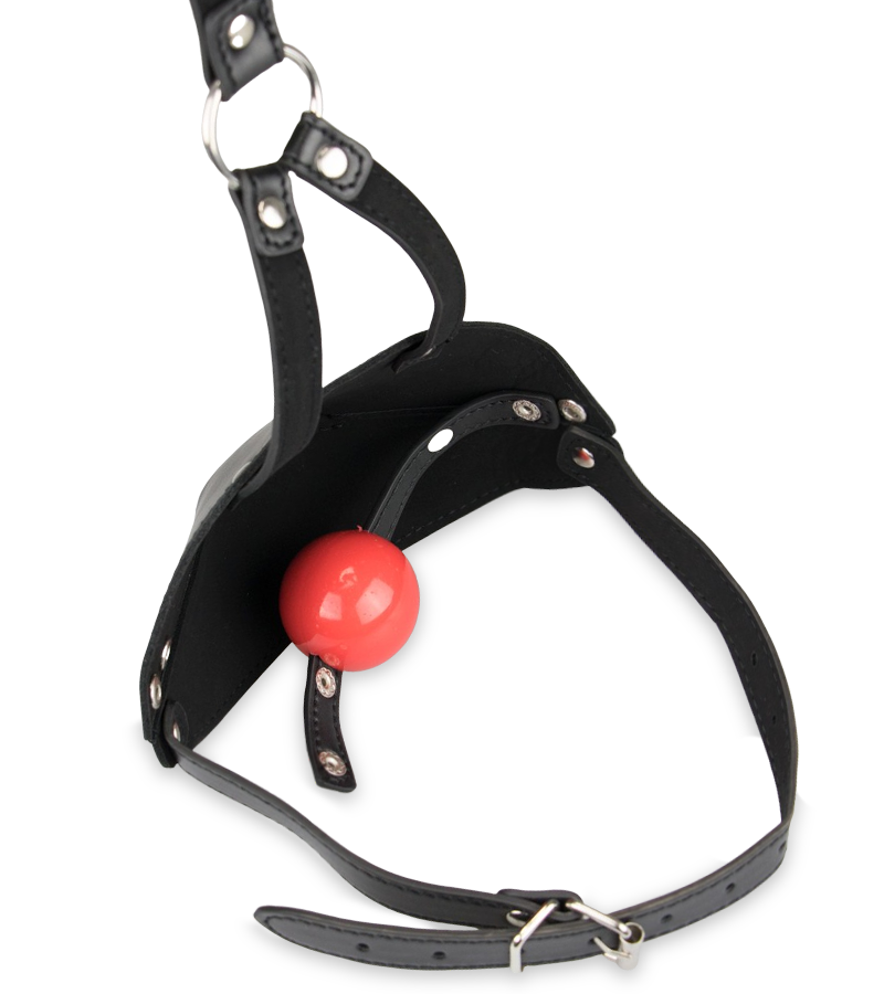 Leather face harness with ball gag