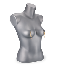 Load image into Gallery viewer, Luxury adjustable nipple clamps