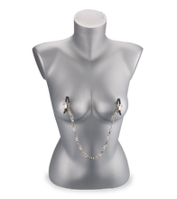 Load image into Gallery viewer, Metal chain nipple clamps