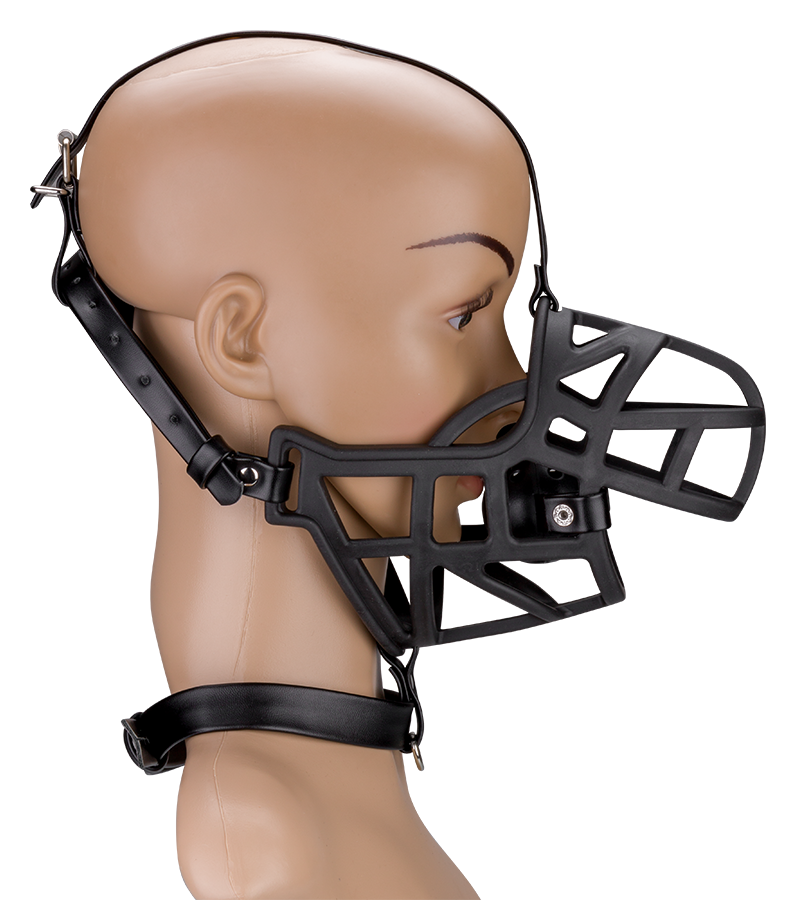 Muzzle with removable ball gag