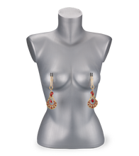 Load image into Gallery viewer, New Orleans adjustable nipple clamps