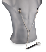 Load image into Gallery viewer, Nipple clamp and metal cock ring