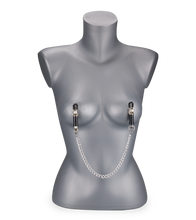 Load image into Gallery viewer, Nipple clamps with chain and weights