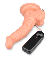 Load image into Gallery viewer, Realistic ribbed-shaft vibrating dildo