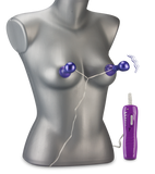 Remote control nipple stimulators