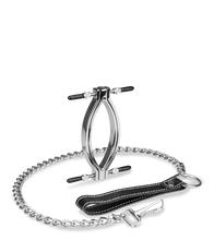 Load image into Gallery viewer, Stainless steel pussy clamp and leash