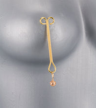 Load image into Gallery viewer, Sweet Pain BDSM nipple clamps