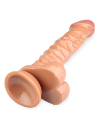 Load image into Gallery viewer, Long Textured Strap-On Dildo Set